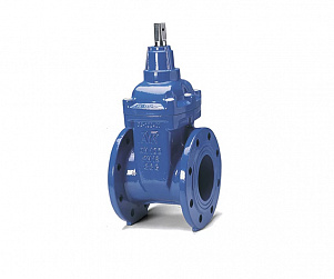 Задвижки чугунные AVK